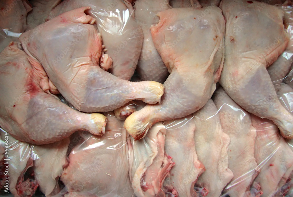 Chicken Chicken