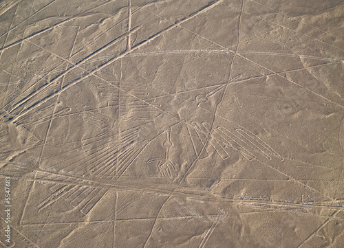 Nazca Lines Peruvian Desert