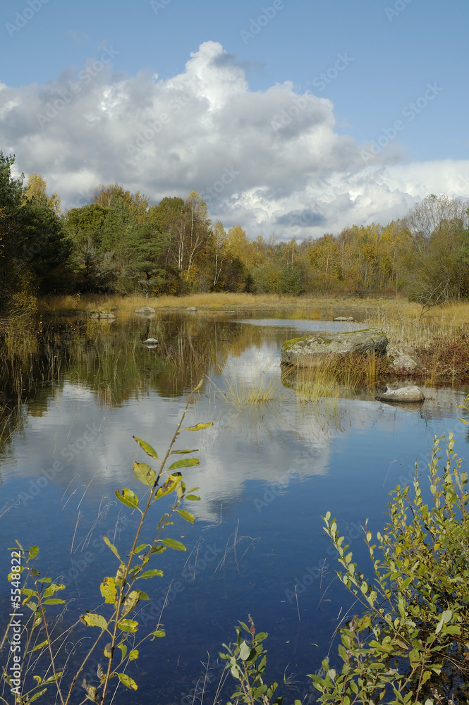 Autumn landscape at wood lake