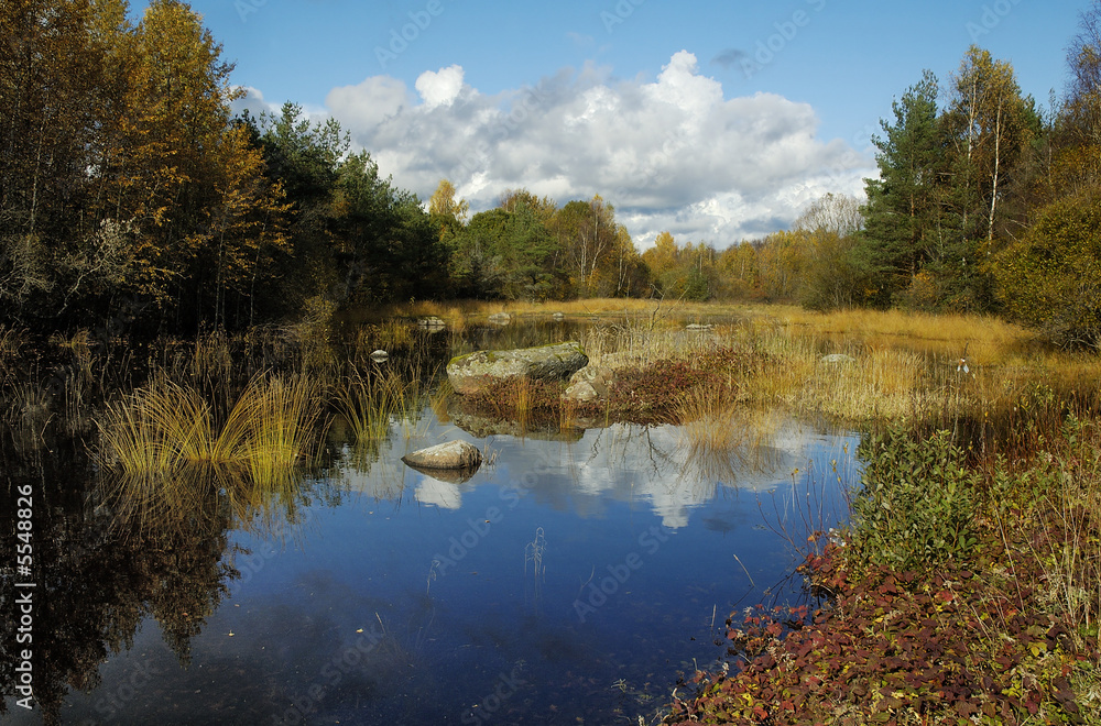 Autumn landscape at wood lake