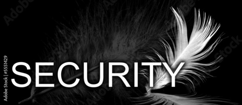 security