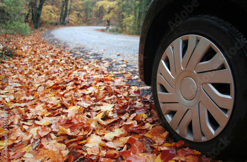 a car wheel which is on a road in forest 