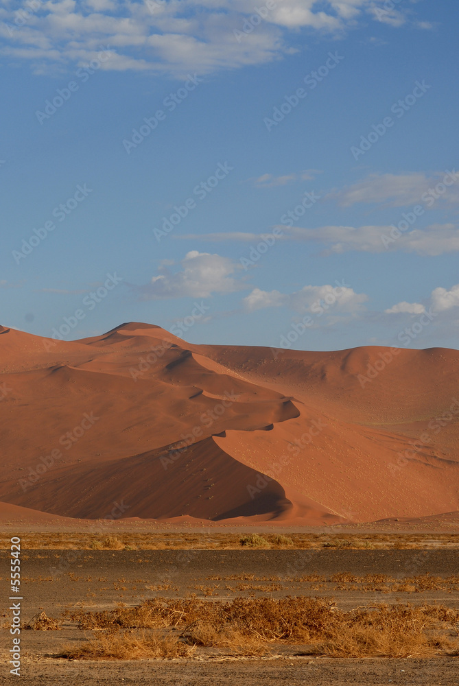 Sossusvlei  dune