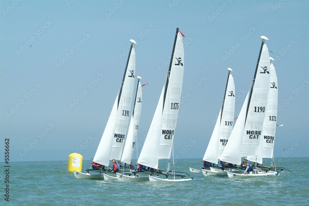 Fototapeta premium catamaran en navigation