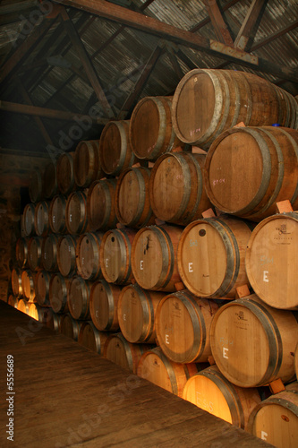 Barrels at a Vineyard in the Valle de Guadalupe, Mexico