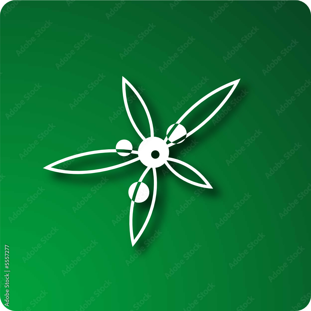 Anise Anise