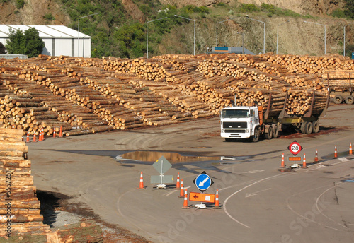 A timber yard and truck loaded with logs