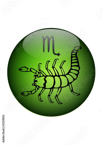 scorpion
