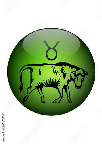 taureau