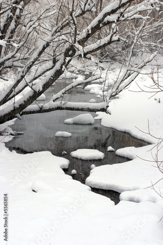 Winter Stream