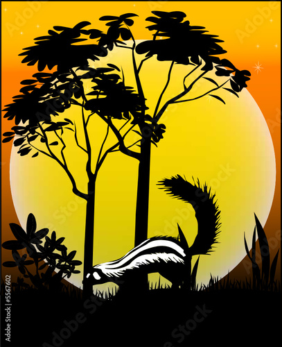 Tiere aus Afrika - Vector