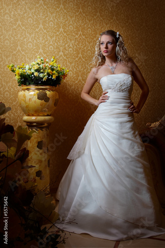 Glamourous girl in the wedding dress