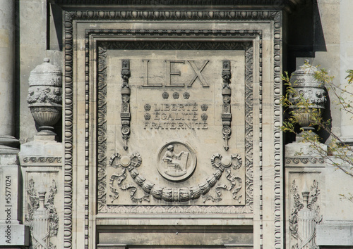 IMG_7003lex