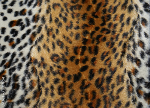 Tigerfell