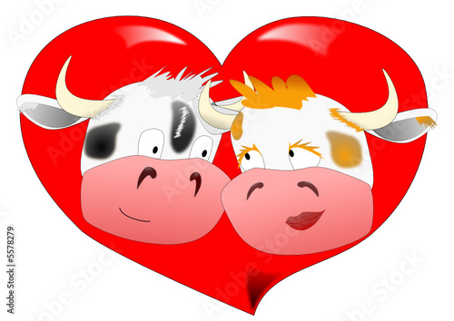 Vaches St Valentin