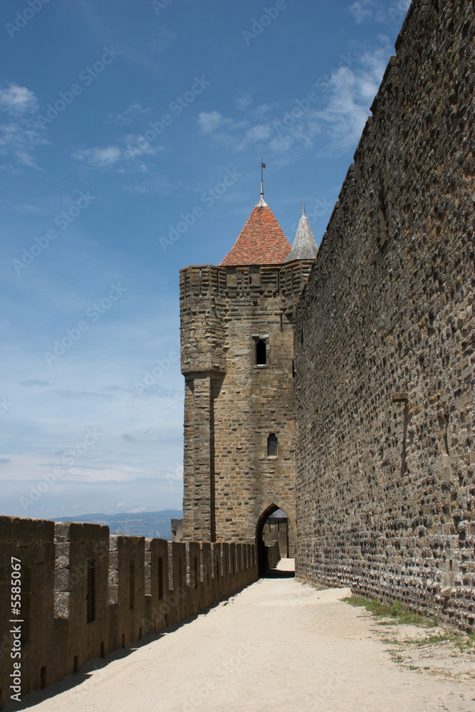 Obraz premium Carcassonne-04. Fortress of medieval city in France