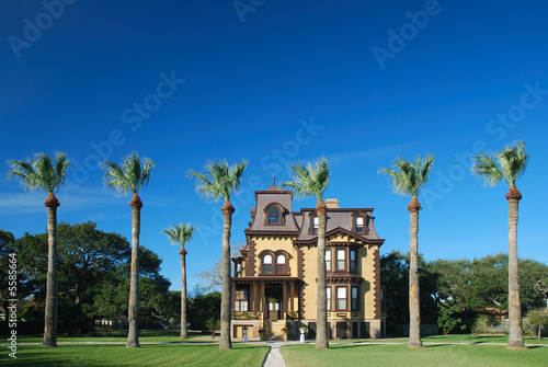The mansion and palm trees look like a winter retreat.