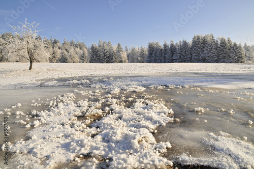 Raureif Winter und Eis © sonne_fleckl