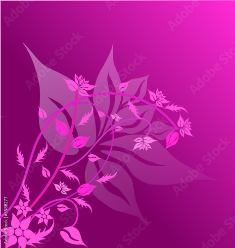 fleurs
