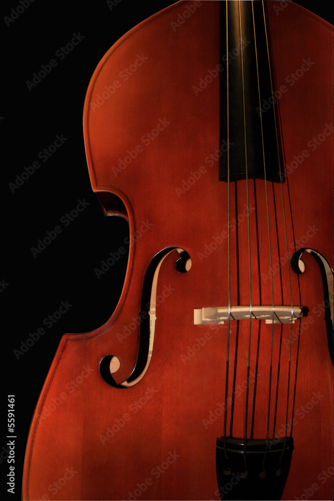 Contrabass-orchestral a musical instrument. Contrabass-orchestral a musical instrument.