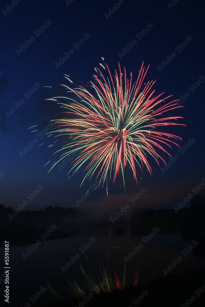 Fireworks display in front of a lake.