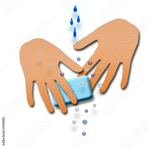 wash your hands
