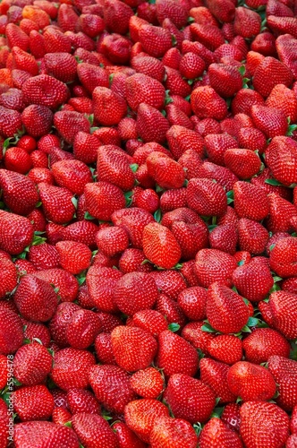Etal de fraises au marché (Market Stall : Strawberry)