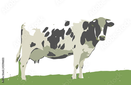 vaca