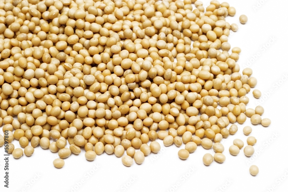 Soy bean Soy bean