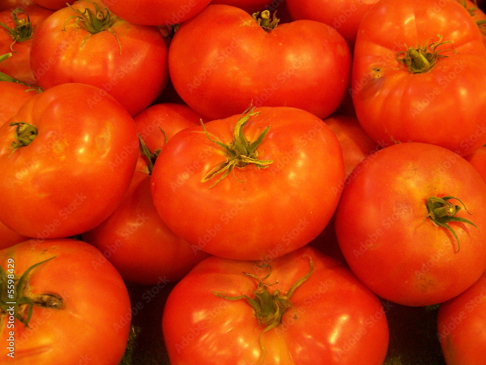 tomates tomates