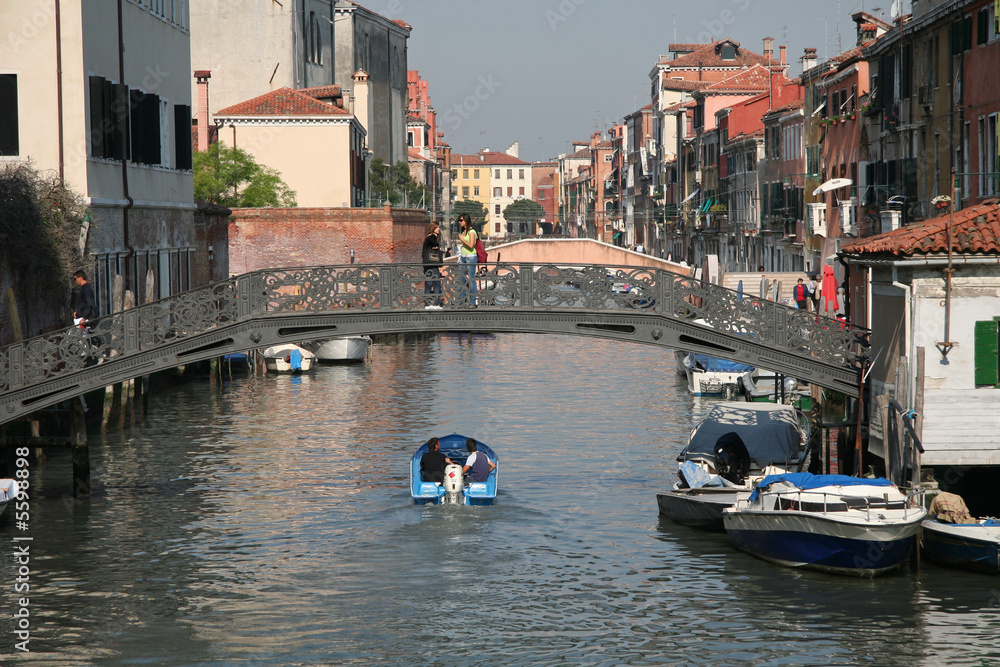 Obraz premium Pont métallique de Venise