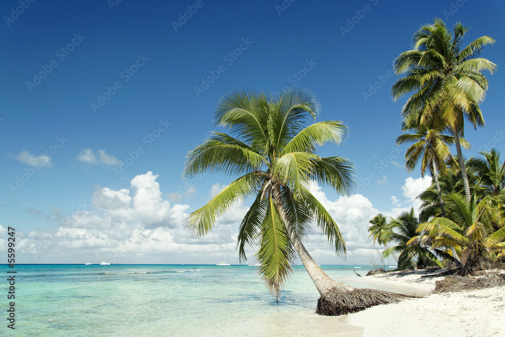 Obraz premium Plage paradisiaque
