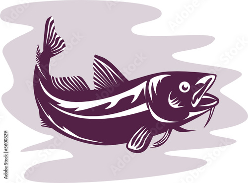 Atlantic Cod