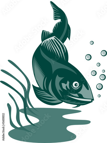 Cod fish