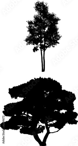 Tree Silhouettes g
