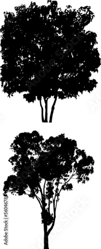 Tree Silhouettes h