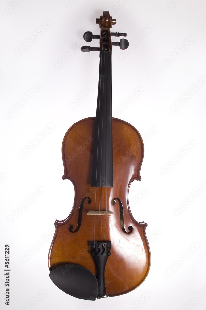 Obraz premium violin