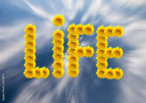 Sunflowers depicting the word life.