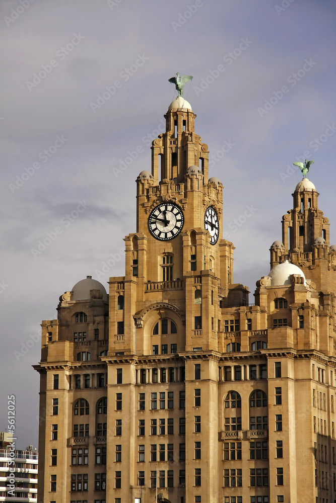 Fototapeta premium Liverpool Liver building