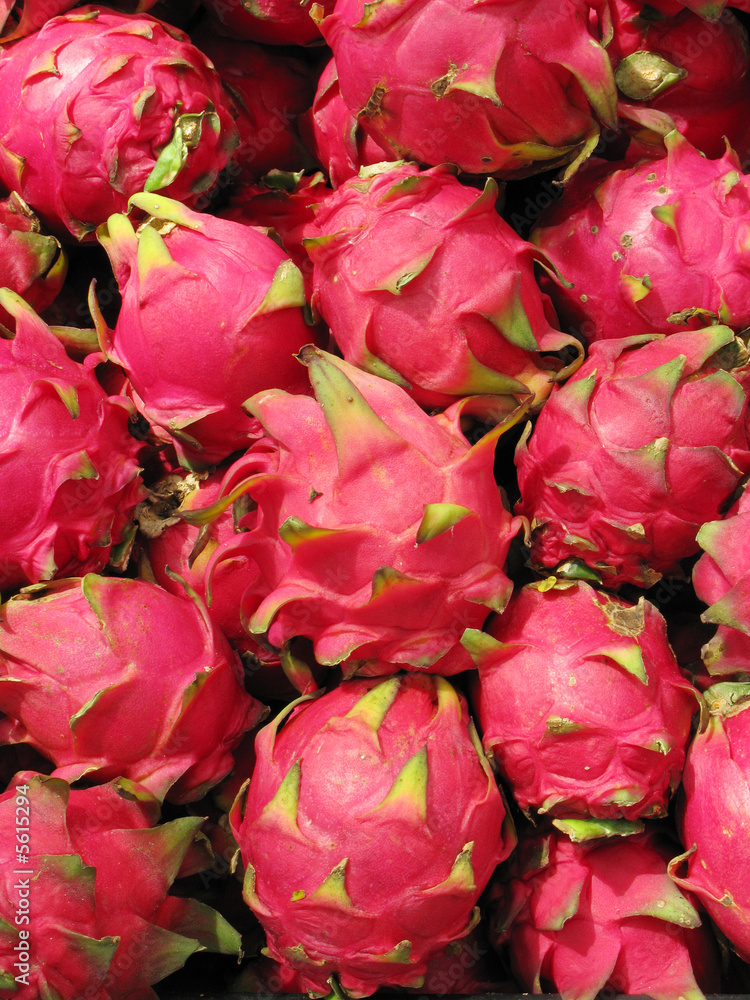 Dragon fruits Dragon fruits
