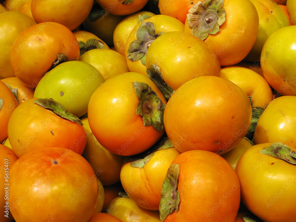 Fruits Fruits