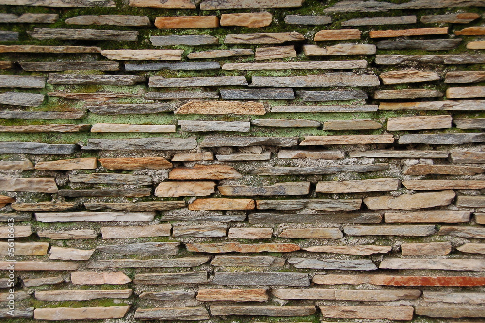 tile tile