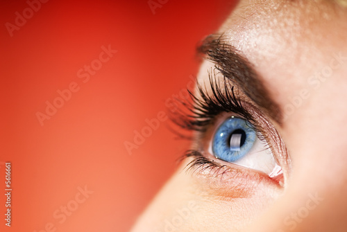Blue eye on red background (shallow DoF) #5616661