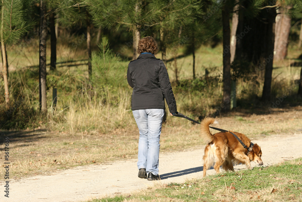 femme qui se proméne avec son chien dans les bois