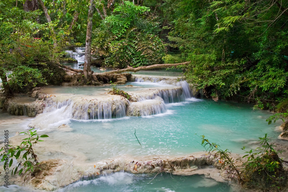 Fototapeta premium Stream