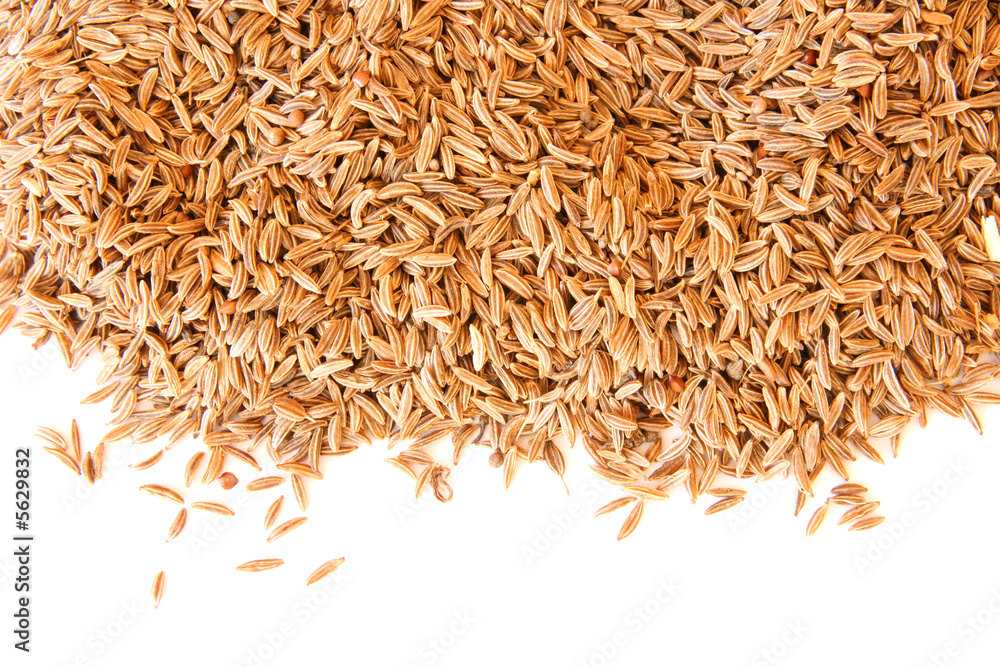 Caraway (cumin) seeds scattered on white Caraway (cumin) seeds scattered on white