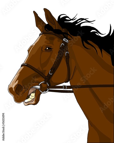 trotter