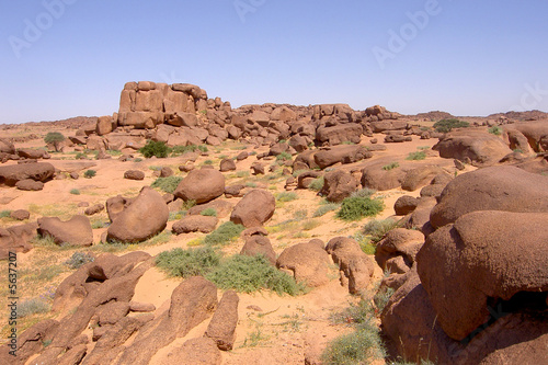 tifariti