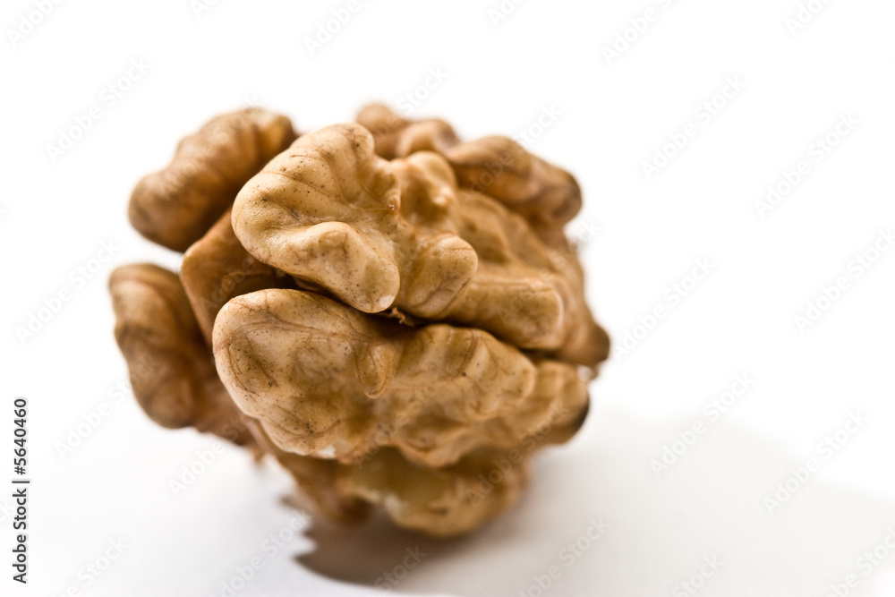 Foodstuff theme: macro picture of walnut Foodstuff theme: macro picture of walnut