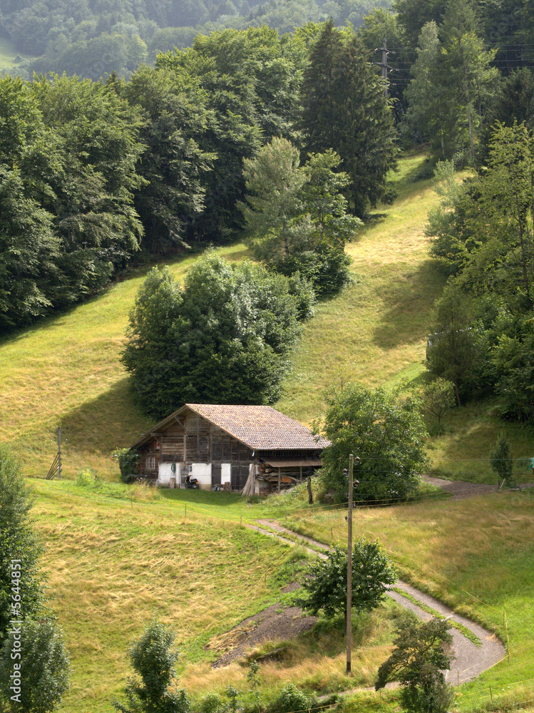 Farm amongst trees on a hillside in Switzerland
